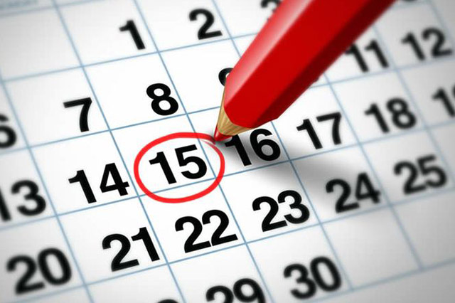 calendario de pagos